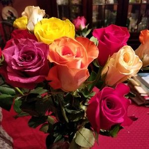 Meet your Posher, Patty